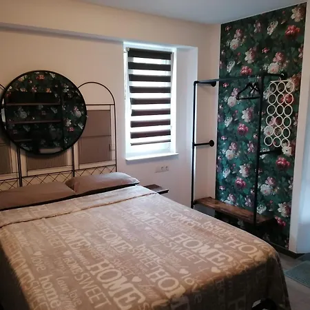 Nahe Haengebruecke Daire *